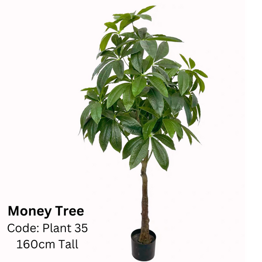 Artificial Money Plant 160cm Tall