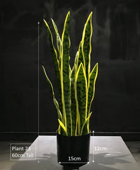 Artificial Snake Plant 60cm Tall