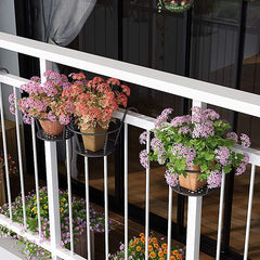 Round Coated Metal Hanging Basket