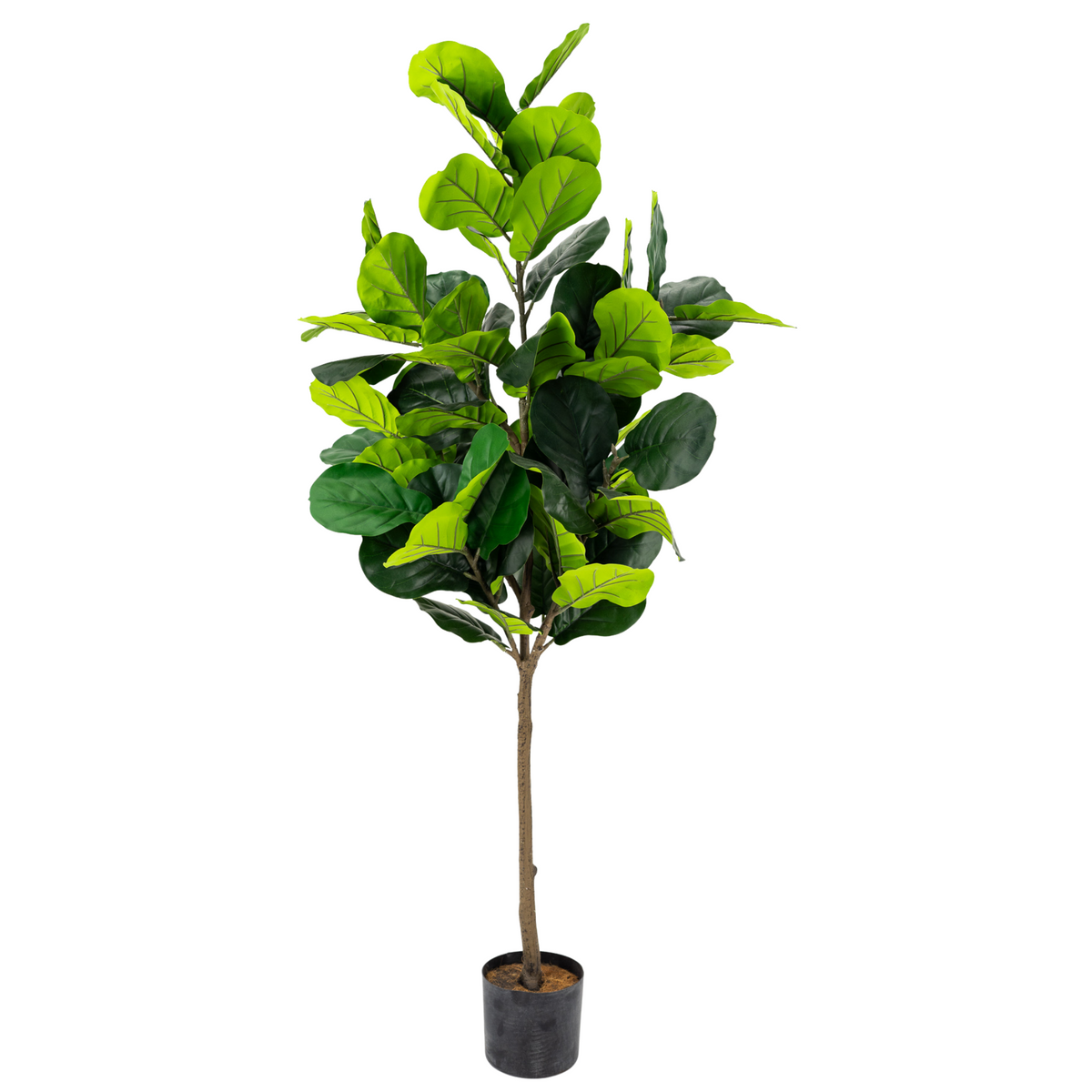 Artificial Fiddle Leaf Fig Tree 160cm tall