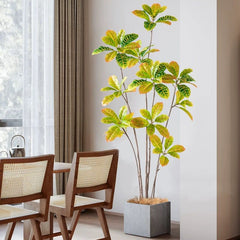 Artificial Sprinkle Golden Ficus 160cm Tall