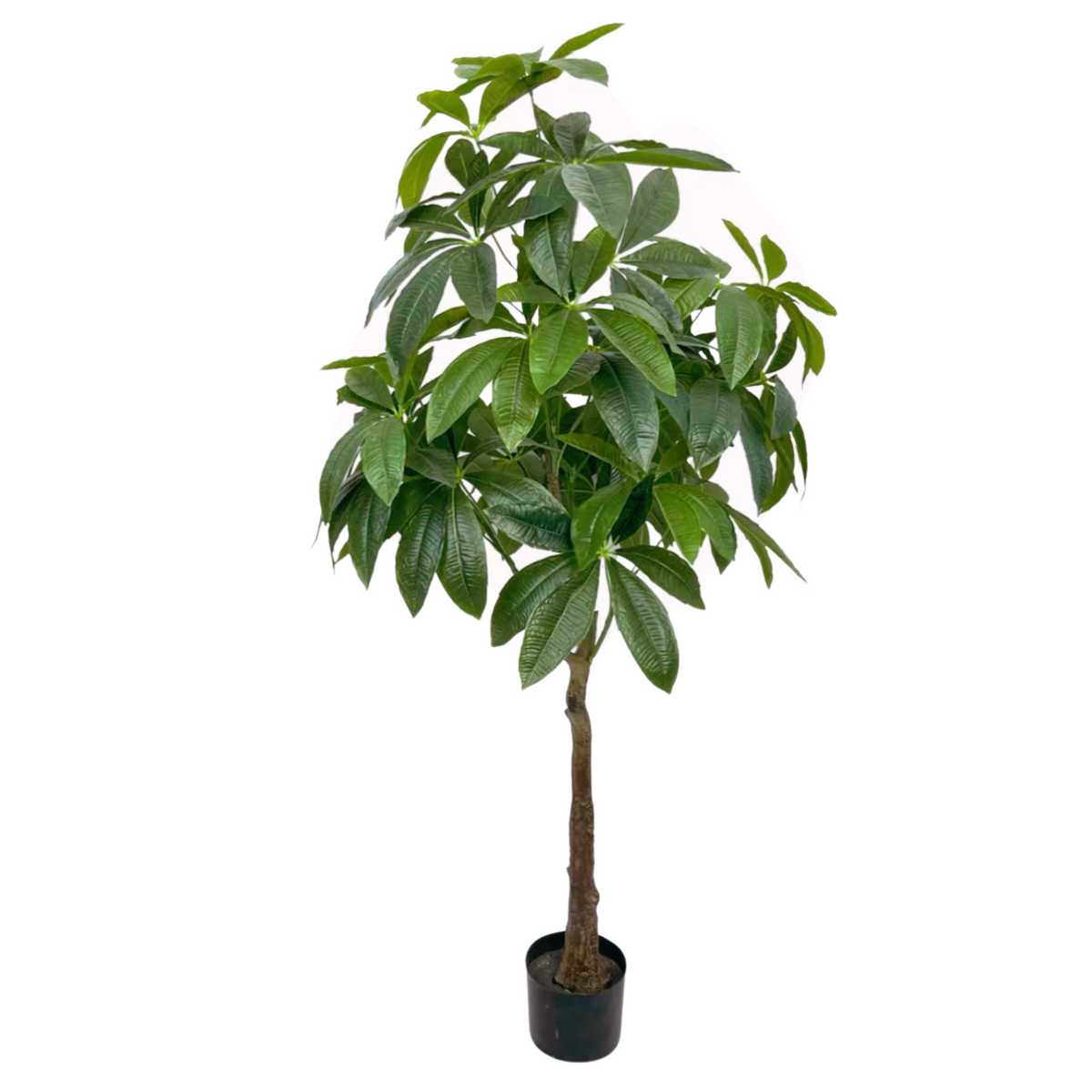 Artificial Money Plant 160cm Tall