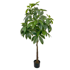 Artificial Money Plant 160cm Tall