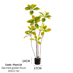 Artificial Sprinkle Golden Ficus 160cm Tall