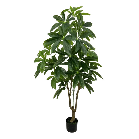 Artificial Money Plant 168cm Tall