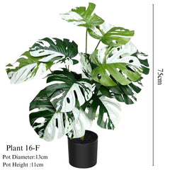 Artificial White Edged Monstera Plant 75cm Tall