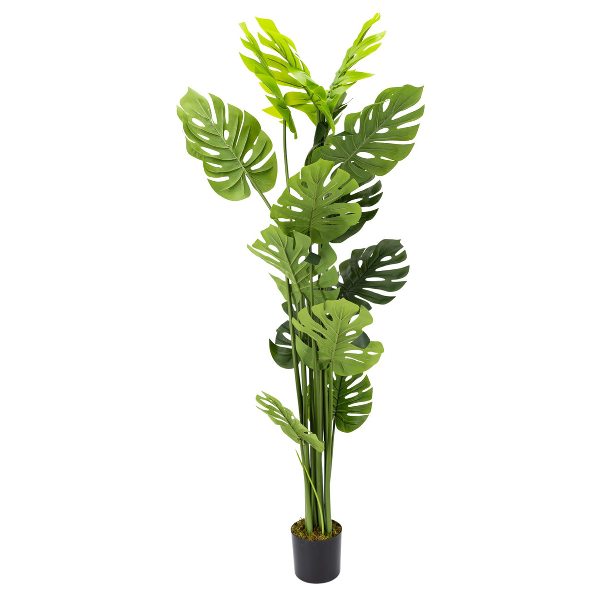 Artificial Monstera Tree 180cm Tall