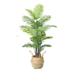 Artificial Plant Areca Palm 160cm tall