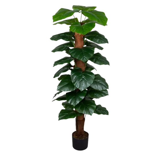 Artificial Epipremnum Aureum 160cm Tall