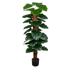 Artificial Epipremnum Aureum 160cm Tall