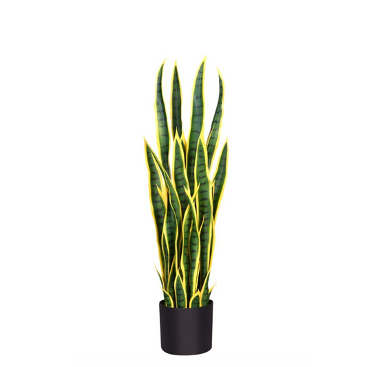 Artificial Snake Plant 60cm Tall