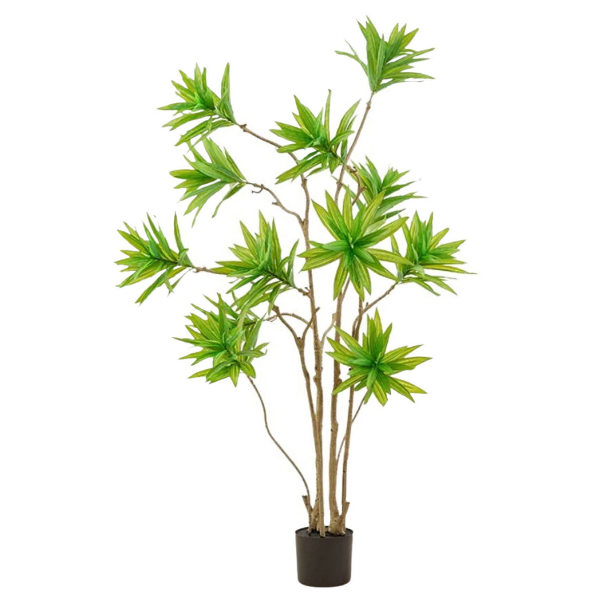 Artificial Dracaena Reflexa 120cm tall