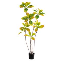 Artificial Sprinkle Golden Ficus 160cm Tall