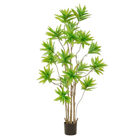 Artificial Dracaena Reflexa 160cm tall