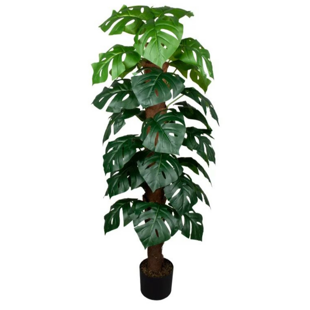 Artificial Monstera Tree 160cm Tall