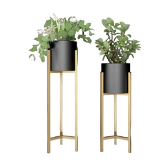 Plant Black Pot with Gold Stand 60cm-90cm