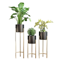 Plant Black Pot with Gold Stand 60cm-90cm