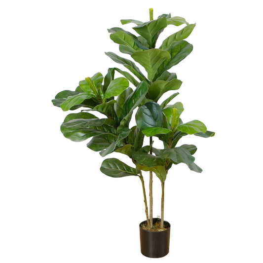 Artificial Fiddle Fig 3stalks 120cm Tall