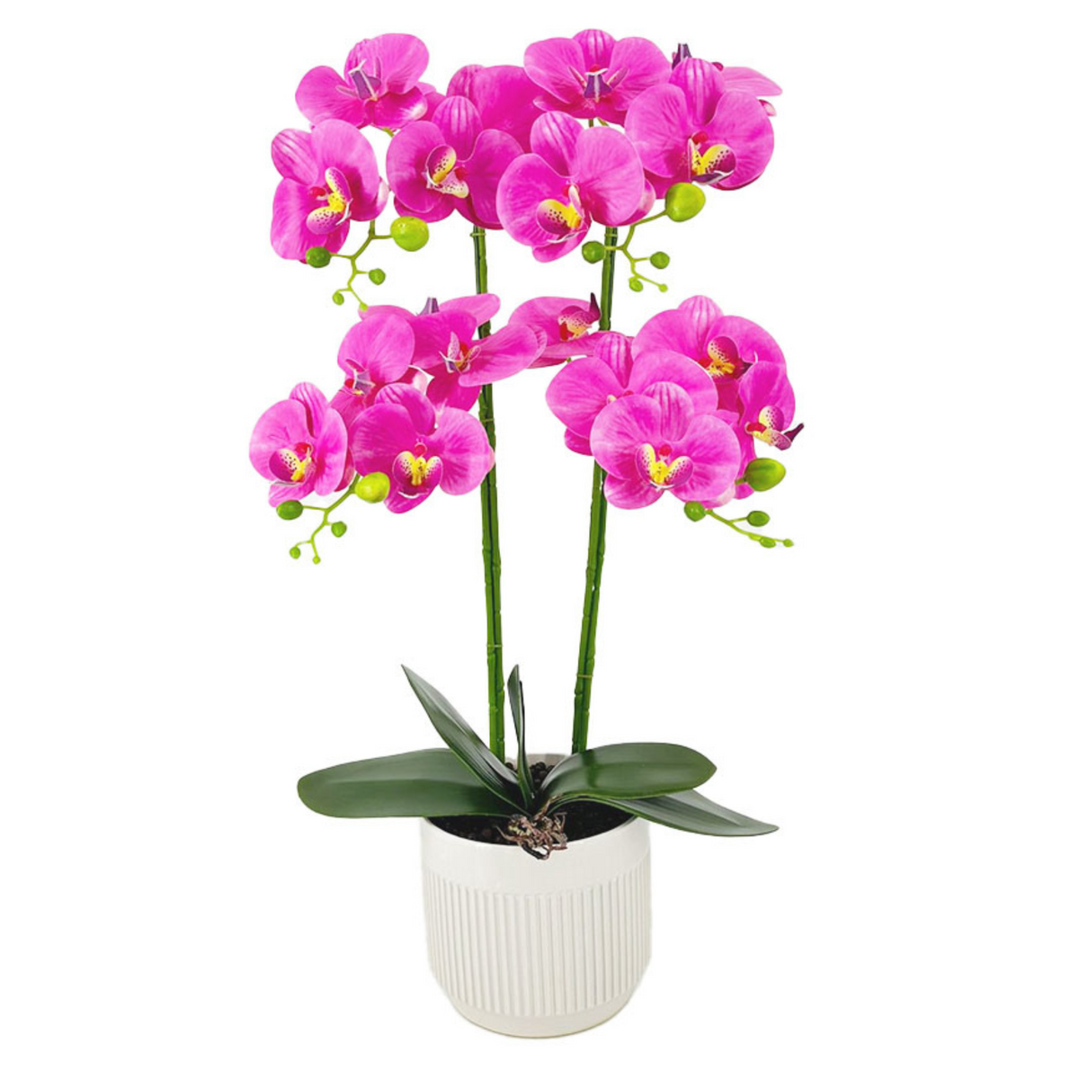 Artificial Orchid 4 Stalks In Ceramic White Pot