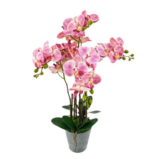 Artificial Orchid 4 Stalks in Imitation Cement Pot