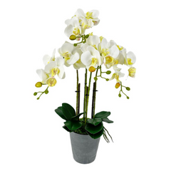 Artificial Orchid 4 Stalks In Imitation Cement Pot