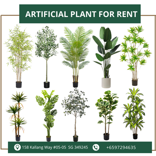 Large Artificial Plant for Rent Or Sale