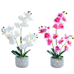 Artificial Orchid in Grey Cement Pot (38cm)