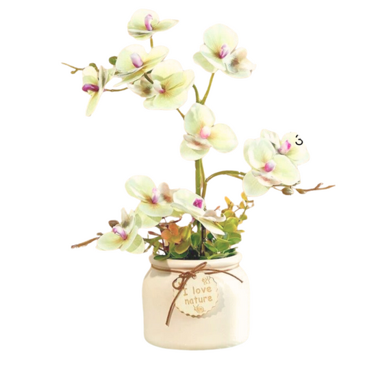 Artificial Orchid In Gentle Cream Yellow Ceramic Pot (35cm)