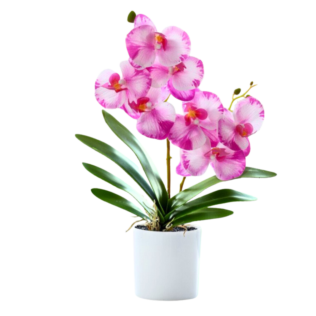 Artificial Purple White Orchid in Plastic White Pot (42cm)