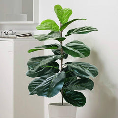 Artificial Fiddle Fig Plant (170cm)