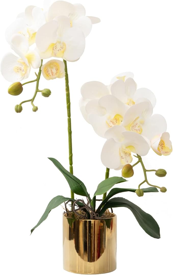 Orchid in Pot - Glossy Gold (60cm)