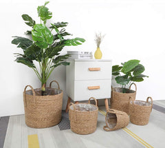 Seagrass Basket (Braid) Plant Basket