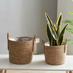 Seagrass Basket (Braid) Plant Basket