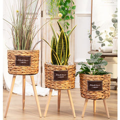 Rattan Reed Basket With Stand