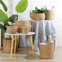 Seagrass Basket (Braid) Plant Basket