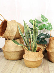 Rattan Basket (Wave)