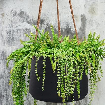 Hanging Cement Pot With Hemp Rope- Black (60cm)