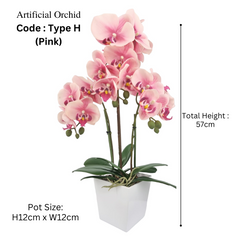 Orchid in Pot - White (57cm)