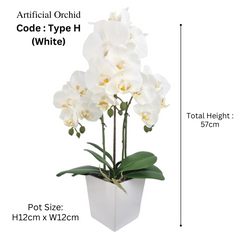 Orchid in Pot - White (57cm)