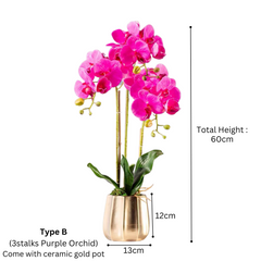 Orchid in Pot - Gold Taper (60cm)