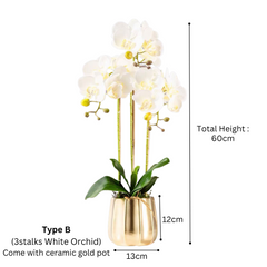 Orchid in Pot - Gold Taper (60cm)