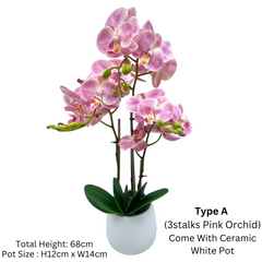 Orchid in Ceramic Pot (68cm) Purple White Pink