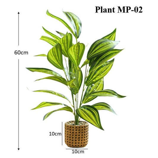 Medium Dracaena Plant - Light Stone Pot (60cm)