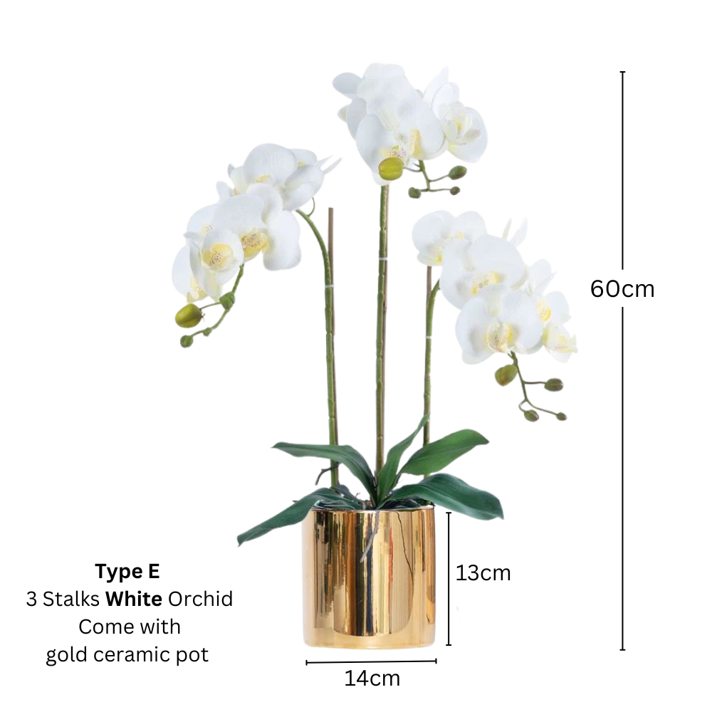 Artificial White Orchid (3/4 stalks) in Ceramic Gold Pot - (60cm)