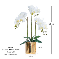 Artificial White Orchid (3/4 stalks) in Ceramic Gold Pot - (60cm)