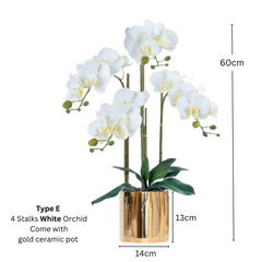 Artificial White Orchid (3/4 stalks) in Ceramic Gold Pot - (60cm)