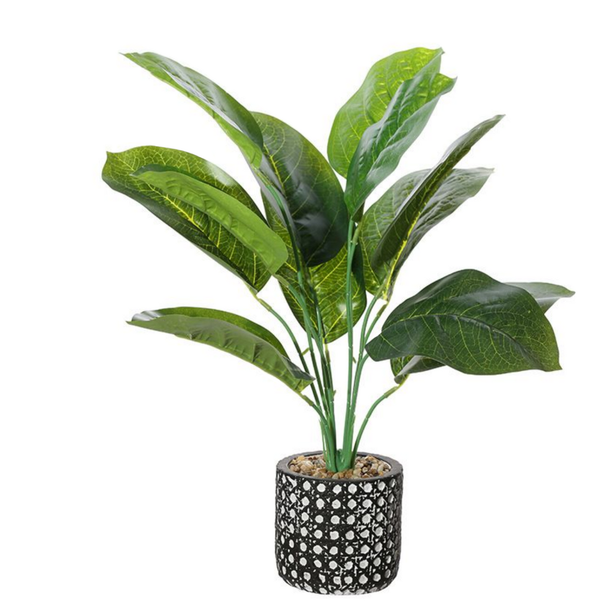 Small Potted Plant in Patterned Pot (45 cm)