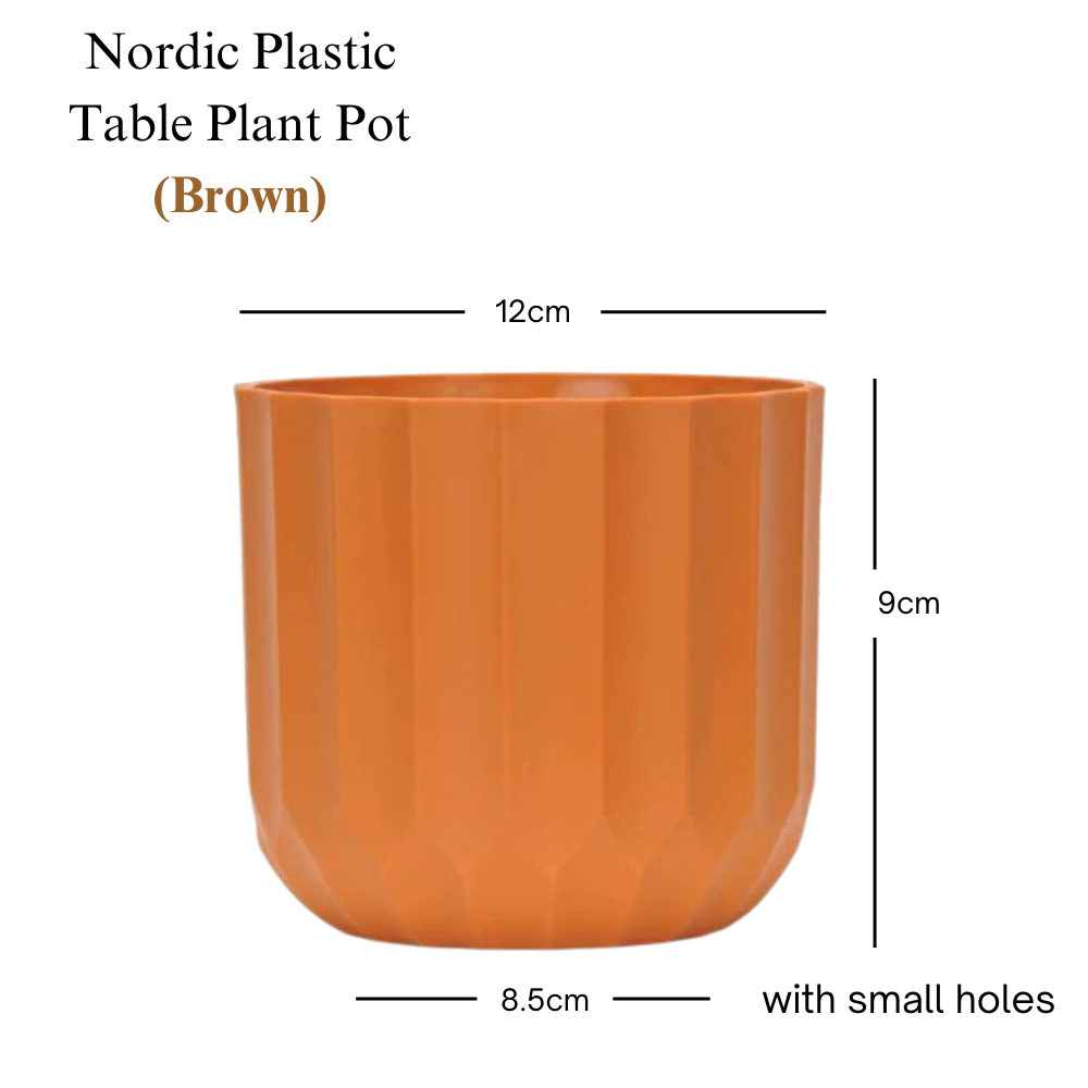 Small Nordic Plastic Pot - Brown / White (9cm)