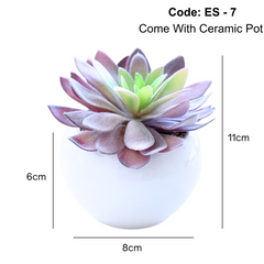 Artificial small succulent in Ceramic Pot