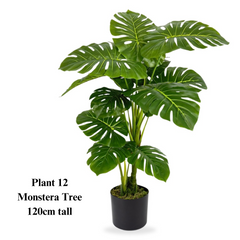 Artificial Monstera 120CM Tall